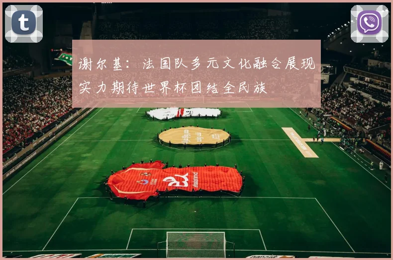 谢尔基：法国队多元文化融合展现实力期待世界杯团结全民族